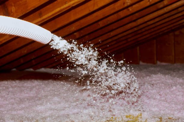 Best Geographic-Specific Insulation Services in Walden, NY